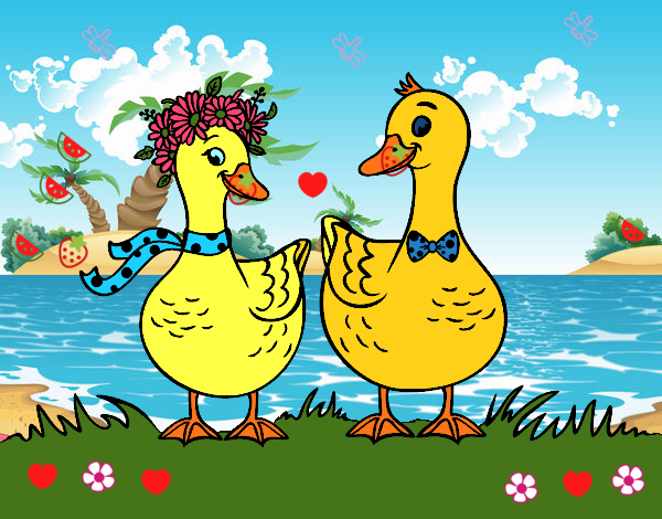 Pareja de patos