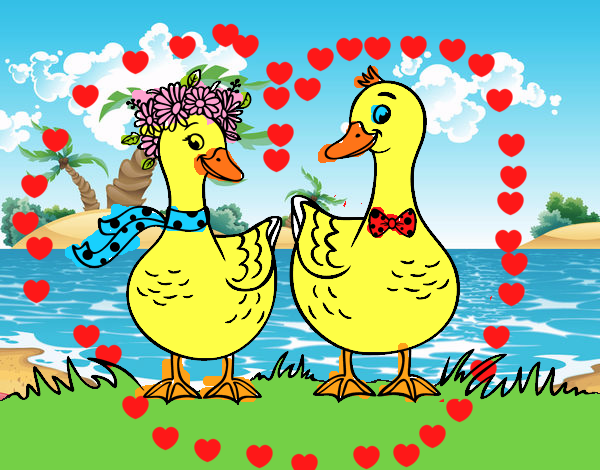 Pareja de patos