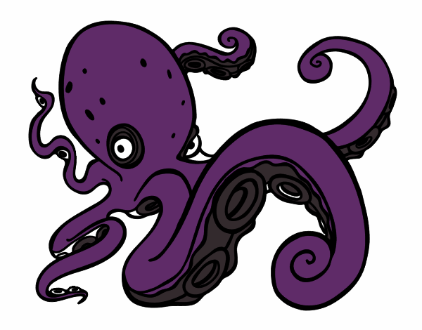 Pulpo enfadado