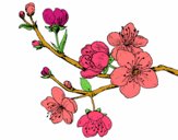 Dibujo Rama de cerezo pintado por ratoncita2