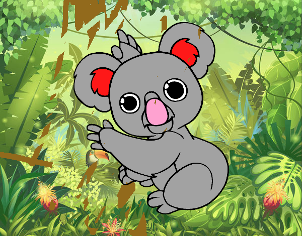 Un Koala