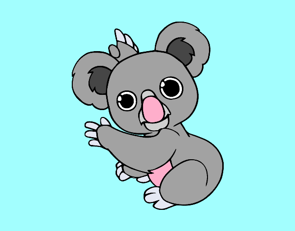 Un Koala