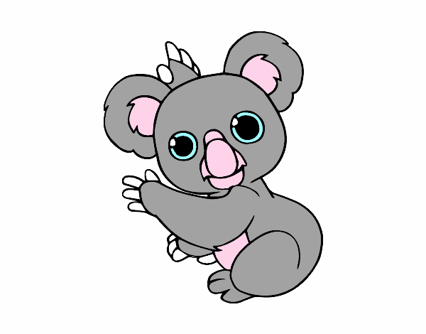 Un Koala