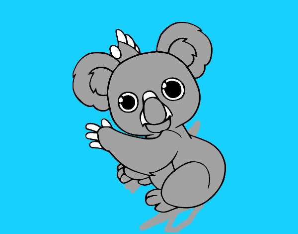 Un Koala