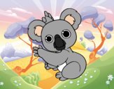 Un Koala