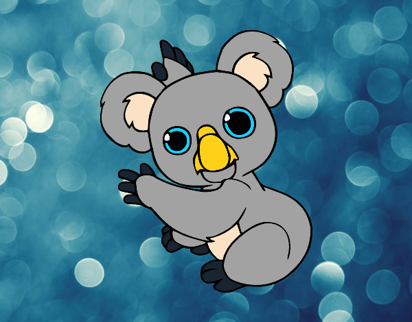 Un Koala