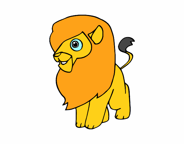 Un león