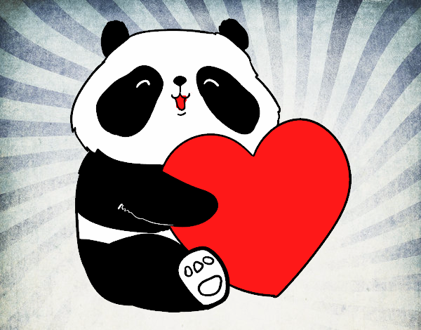 Amor Panda