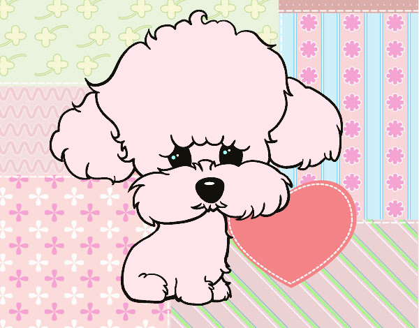 Cachorro de poodle