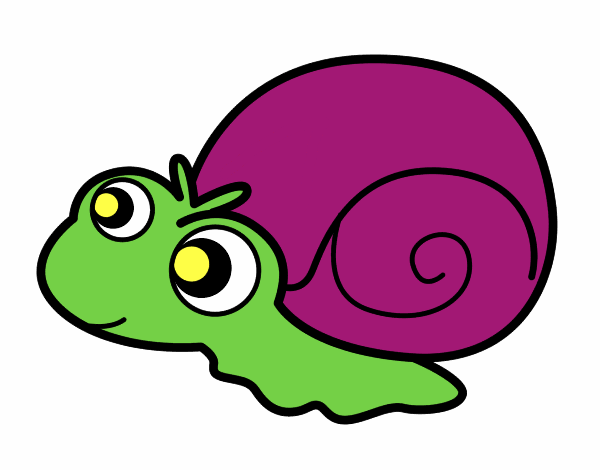 Caracol bebé