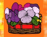 Dibujo Cesta de flores 12 pintado por OLDI