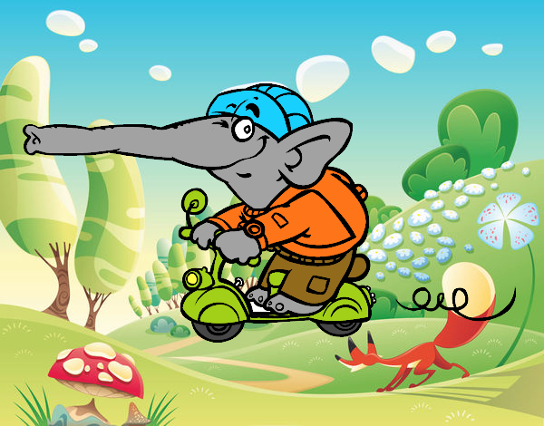 Elefante en moto