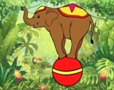 Dibujo Elefante equilibrista pintado por OLDI