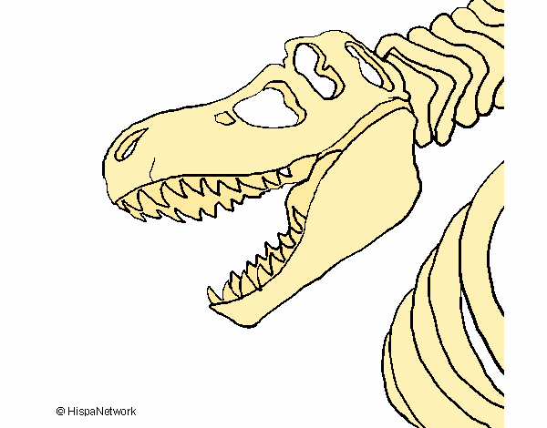 Esqueleto tiranosaurio rex