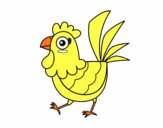 Gallina de granja