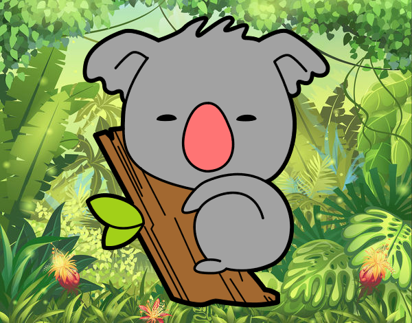 Koala bebé