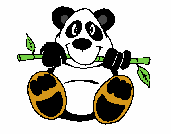 Oso panda