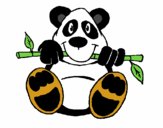 Oso panda