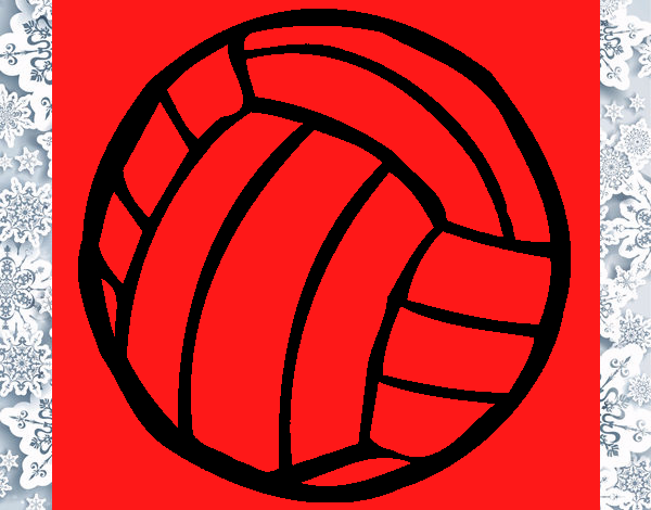 Pelota de voleibol