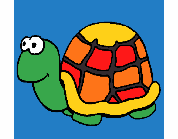 Tortuga 1