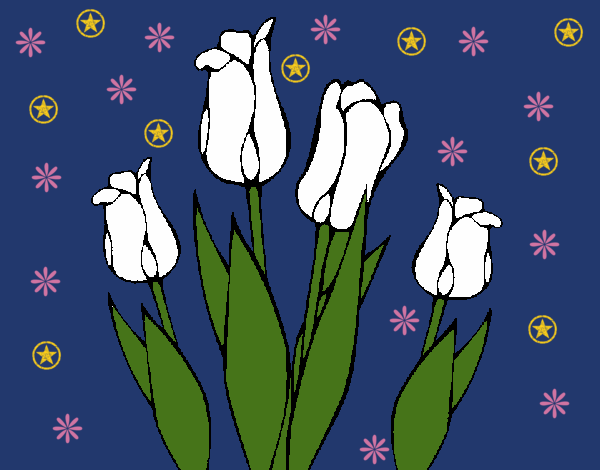 Tulipanes