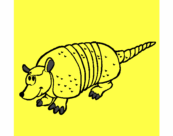 Armadillo