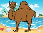 Dibujo Camello aburrido pintado por linda423