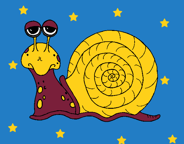 Caracol 3