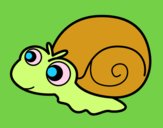 Caracol bebé