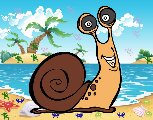 Caracol feliz