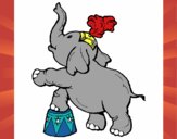 Elefante