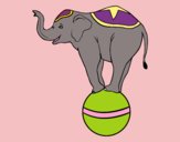 Dibujo Elefante equilibrista pintado por tere15