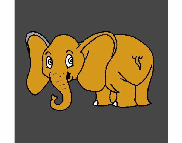 Elefante pequeño