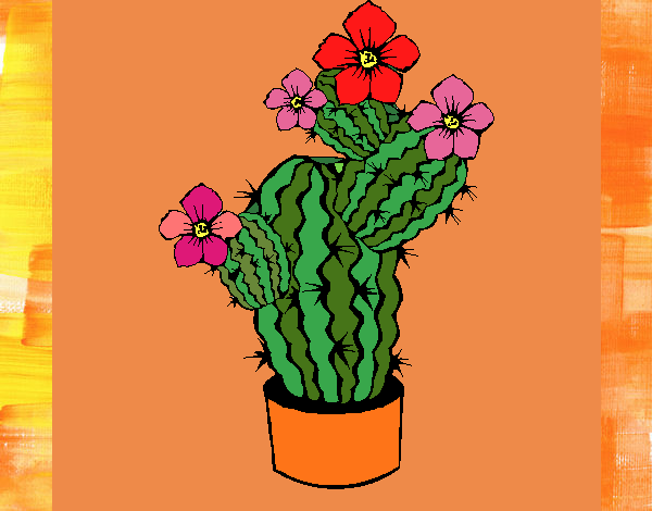 Flores de cactus