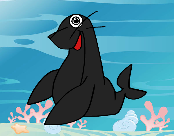 Foca monje