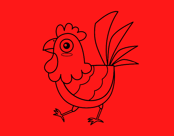 Gallina de granja