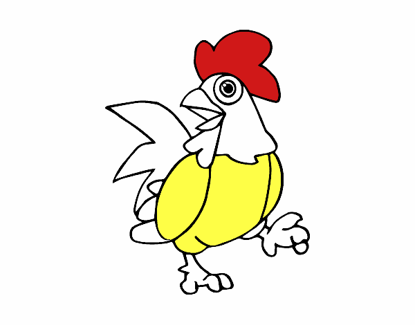 Gallo de corral