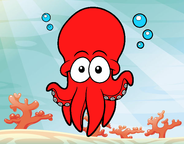 Pulpo rojo