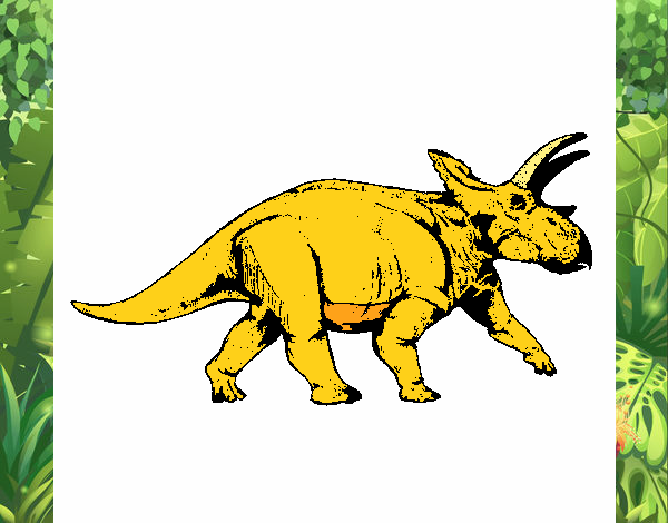 Triceratops 1