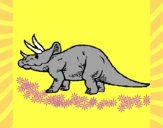 Triceratops