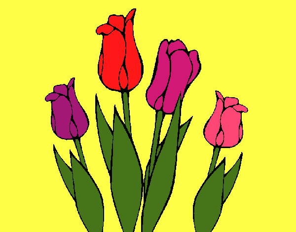 Tulipanes