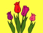 Tulipanes