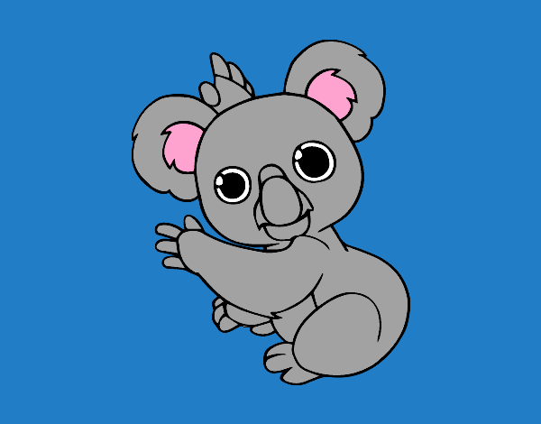 Un Koala