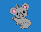 Un Koala