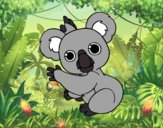 Un Koala