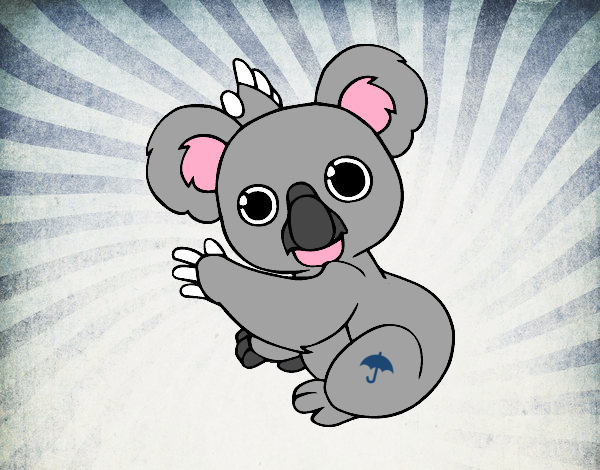 Un Koala