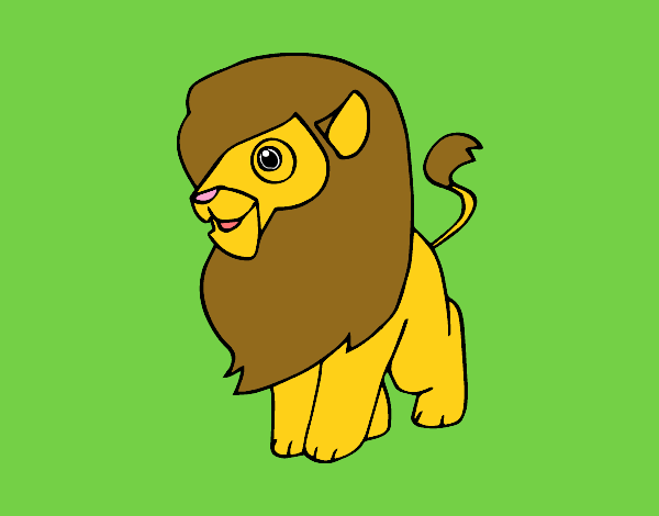 Un león