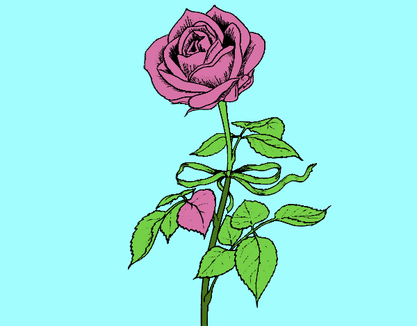 Dibujo Una rosa pintado por Raylee
