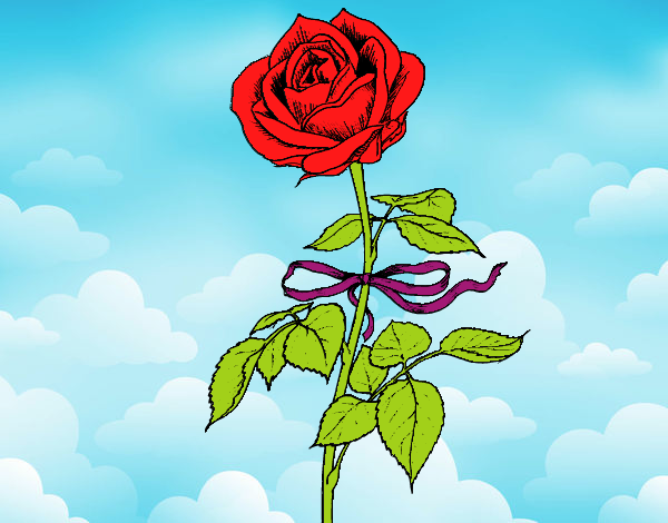 Una rosa