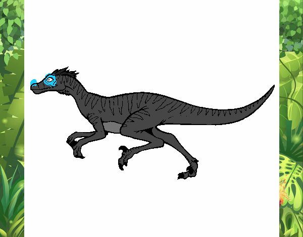 Velociraptor